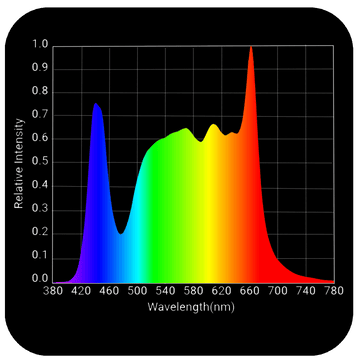 HLG 750 Diablo ES - Image 2